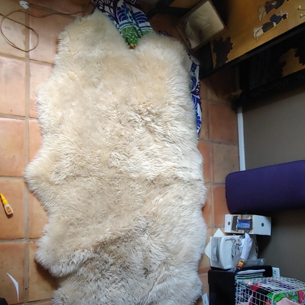 Sheep skin rug